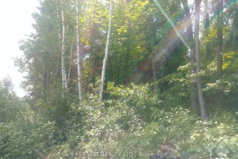 00 RIVER Road, McNab/Braeside, ON K0A 1G0