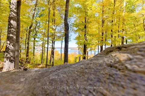 4947 OPEONGO Rd, Bonnechere Valley, ON K0J 1T0