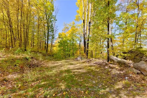 4947 OPEONGO Rd, Bonnechere Valley, ON K0J 1T0