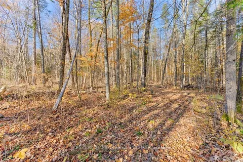 0 WRIGHT Rd, Whitewater Region, ON K0J 2L0