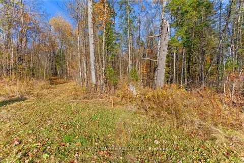 0 WRIGHT Rd, Whitewater Region, ON K0J 2L0