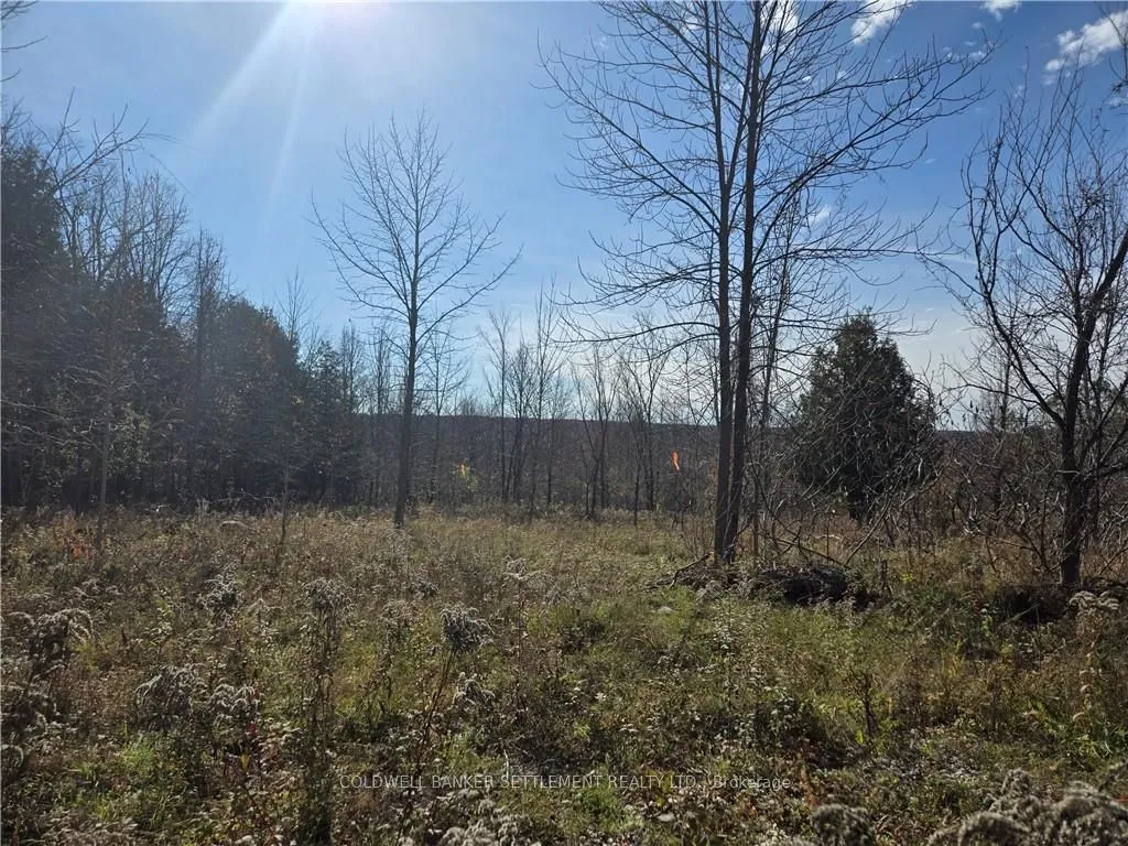 0 DALHOUSIE CONCESSION 8 Rd, Lanark Highlands, ON K0G 1K0