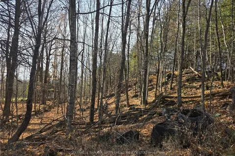 0 DALHOUSIE CONCESSION 8 Rd, Lanark Highlands, ON K0G 1K0
