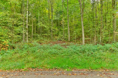 0 Deroche Rd, Tweed, ON K0K 3J0